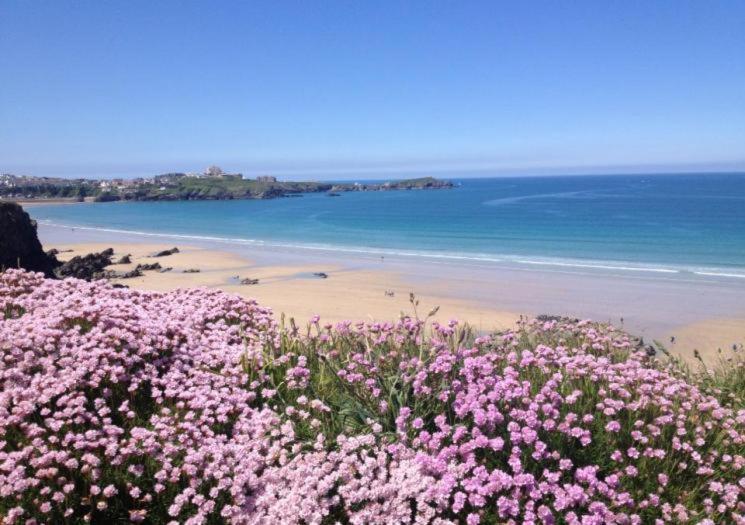 Atlantic Reach Cottages, Newquay 6 Miles, 2 Bedrooms 外观 照片
